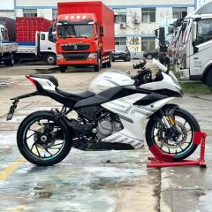 CFMOTO 250SR - ფოტო 2