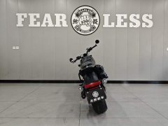 Harley-Davidson Sportster S 1250 cc - photo 4