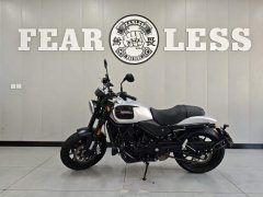 Harley-Davidson X 500 - ფოტო 3