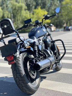 Harley-Davidson Nightster 975 cc - фото 6