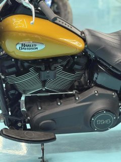 Harley-Davidson Heritage Classic 1923 cc - ფოტო 10