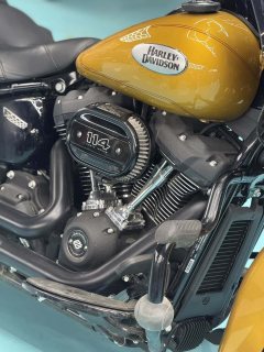 Harley-Davidson Heritage Classic 1923 cc - ფოტო 12