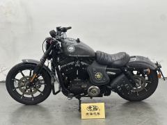 Harley-Davidson Iron883 Tough Guy - фото 3
