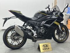 Voge 250RR - ფოტო 9