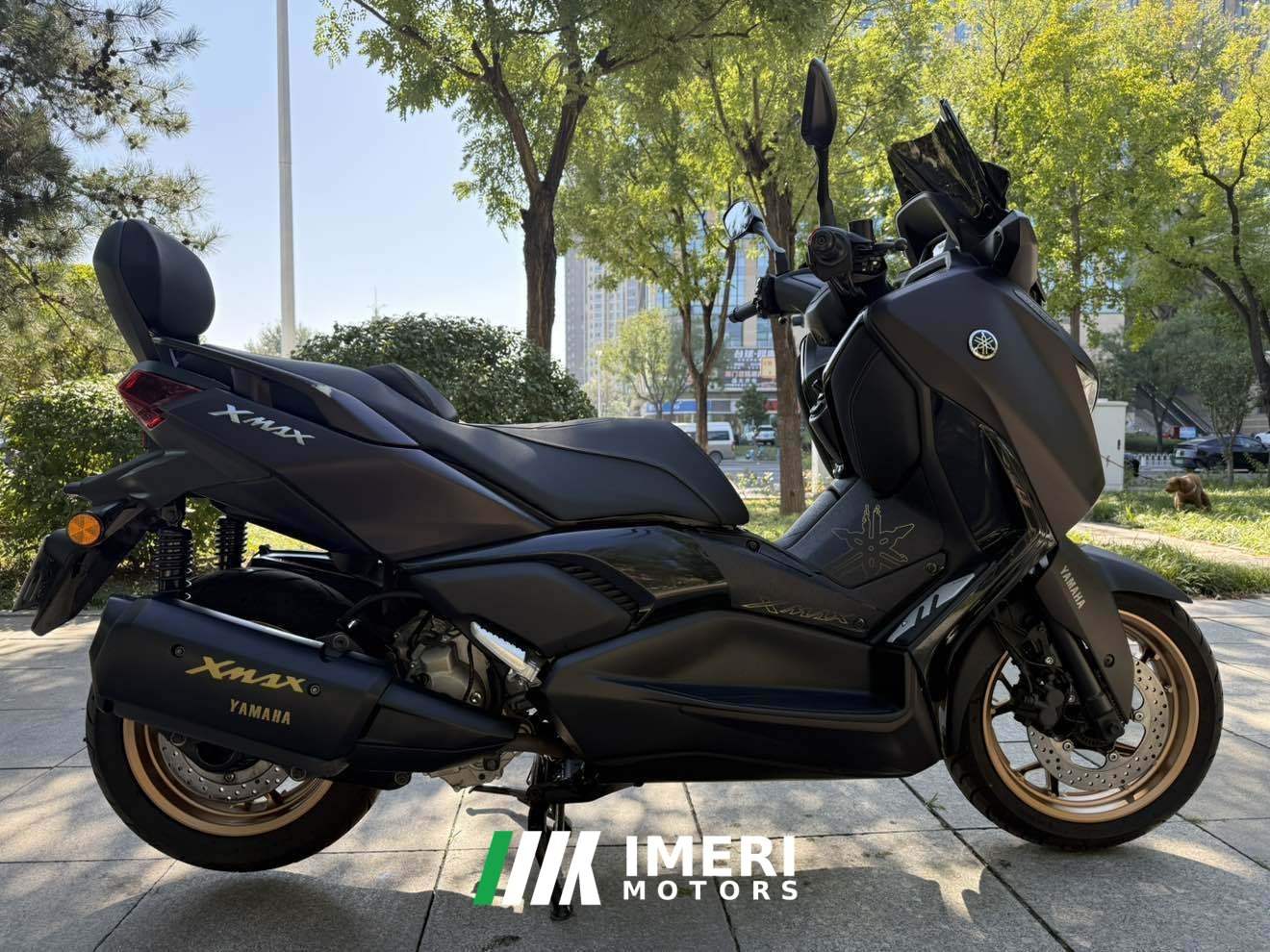 2024 Yamaha XMAX 300 cc