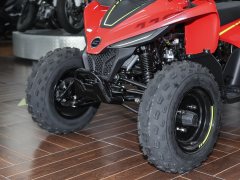 CFMOTO CFORCE 110 - ფოტო 10