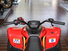 CFMOTO CFORCE 110 - ფოტო 12