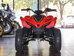 CFMOTO CFORCE 110 - ფოტო 2