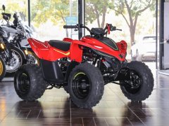 CFMOTO CFORCE 110 - ფოტო 3