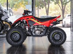 CFMOTO CFORCE 110 - ფოტო 4
