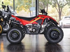 CFMOTO CFORCE 110 - ფოტო 5