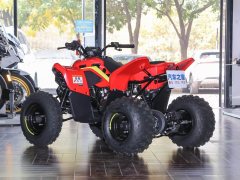 CFMOTO CFORCE 110 - ფოტო 6