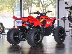 CFMOTO CFORCE 110 - ფოტო 8