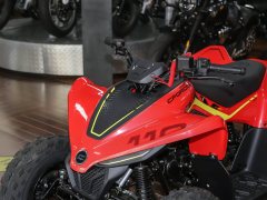 CFMOTO CFORCE 110 - ფოტო 9