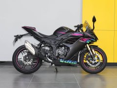 Voge 250RR - photo 8