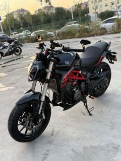 Benelli TNT 300 / BN 302S - ფოტო 4