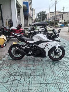 Kayo 250RR Thornbird - ფოტო 3