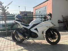 Nuoma Phantom 255S 250 cc - ფოტო 1
