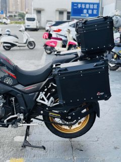 Cyclone RX600 560 cc - ფოტო 8