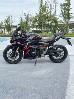 Haojue Suzuki GSX250R - ფოტო 4