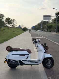 Weiduoliya Sixties 150Si - ფოტო 2