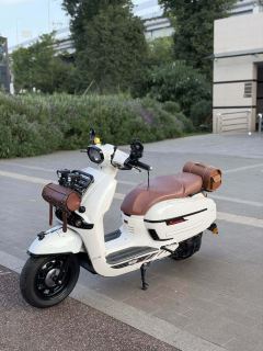 Weiduoliya Sixties 150Si - ფოტო 3