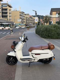 Weiduoliya Sixties 150Si - ფოტო 4