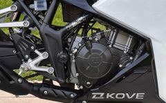 Kayo 250RR Thornbird - ფოტო 8