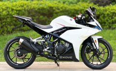 Kayo 250RR Thornbird - ფოტო 4