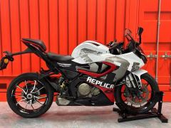 QJMOTOR SRK 250 - фото 2