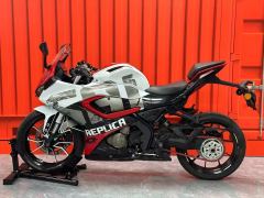 QJMOTOR SRK 250 - фото 5