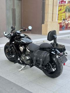 Benda Chinchilla 450 - photo 9