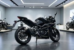 Kayo 250RR Thornbird - photo 7