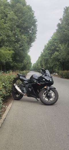 Haojue Suzuki GSX250R - фото 3