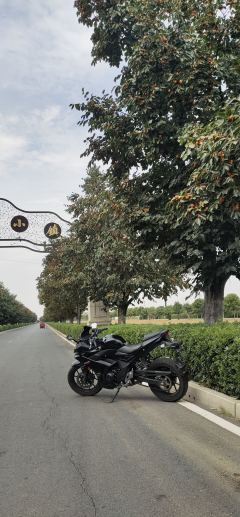 Haojue Suzuki GSX250R - фото 4
