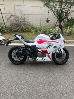 QJMOTOR SRK 250 - photo 4