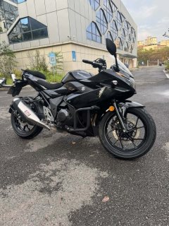 Haojue Suzuki GSX250R - фото 9