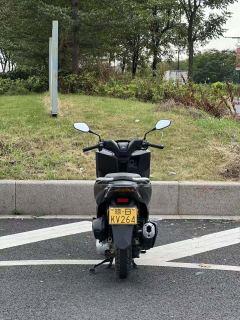 Sundiro Honda NS150GX - photo 8