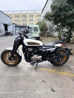 Cyclone AQS401 400 cc - фото 6
