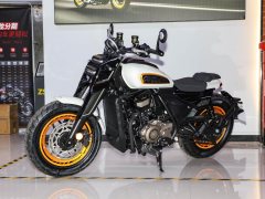 Cyclone AQS401 400 cc - ფოტო 1