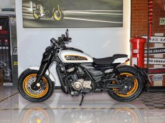 Cyclone AQS401 400 cc - ფოტო 4