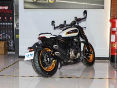 Cyclone AQS401 400 cc - ფოტო 7