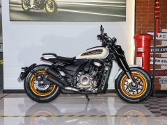 Cyclone AQS401 400 cc - ფოტო 8