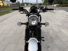 Cyclone RA2 250 cc - ფოტო 2