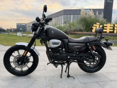 Cyclone RA2 250 cc - ფოტო 3