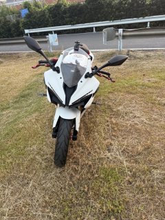 QJMOTOR SRK 250 - ფოტო 3