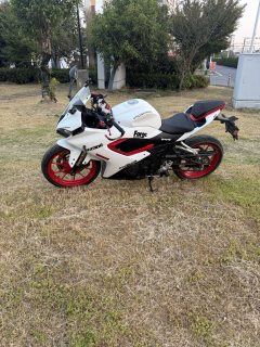QJMOTOR SRK 250 - ფოტო 4