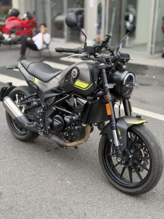 Benelli Young Lion Leoncino 250 - photo 1