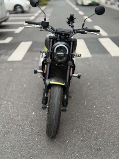 Benelli Young Lion Leoncino 250 - photo 2
