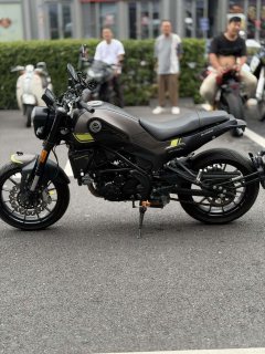 Benelli Young Lion Leoncino 250 - photo 4